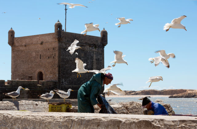 Essaouira's Bohemian Charm